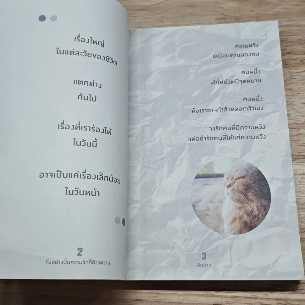 หนังสือ ถึงอย่างนั้นความรักก็ยังงดงาม รูปที่ 7