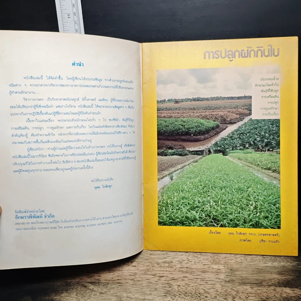 หนังสือ การปลูกผักกินใบ รูปที่ 6