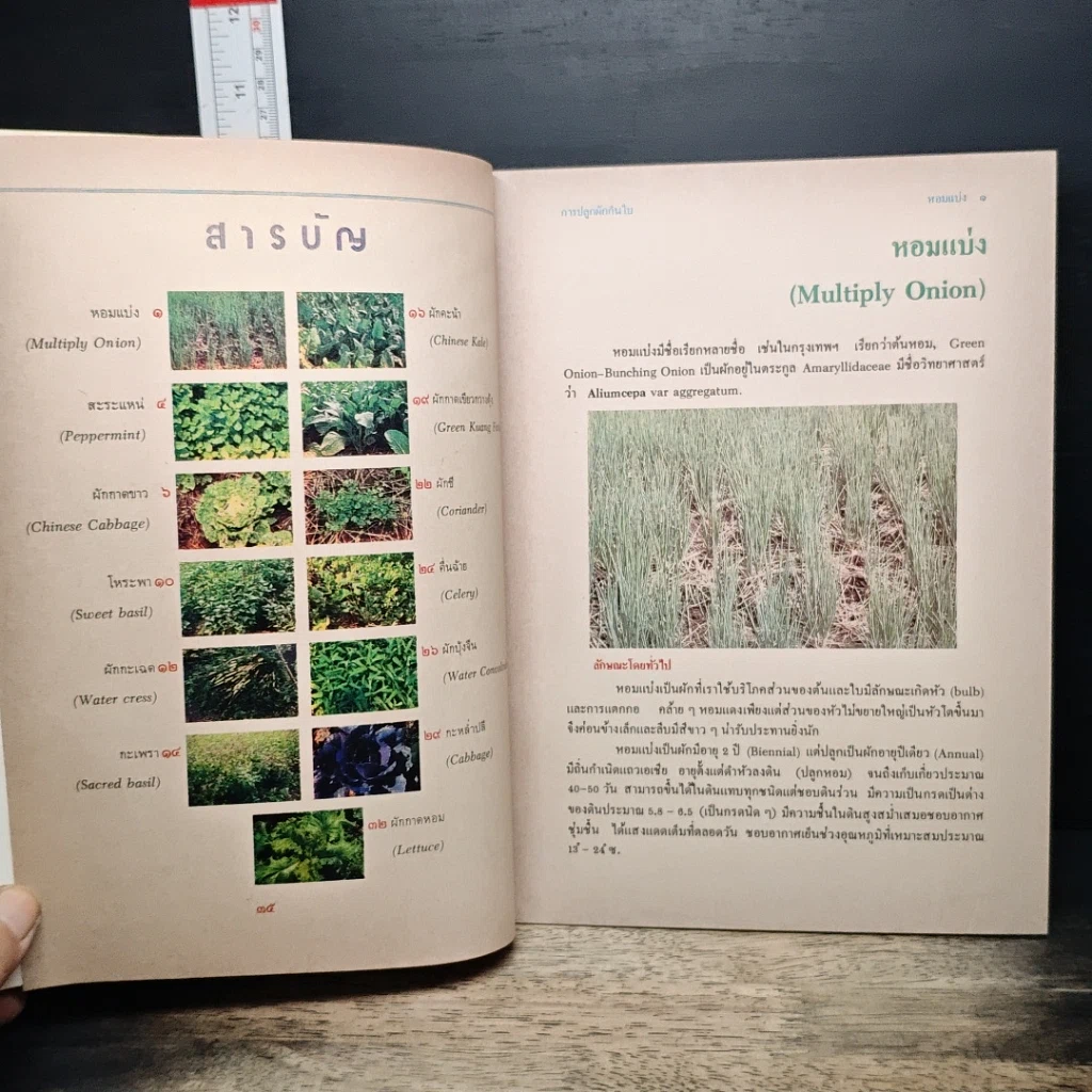 หนังสือ การปลูกผักกินใบ รูปที่ 7