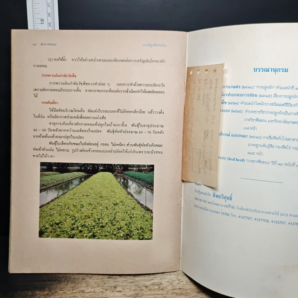 หนังสือ การปลูกผักกินใบ รูปที่ 8