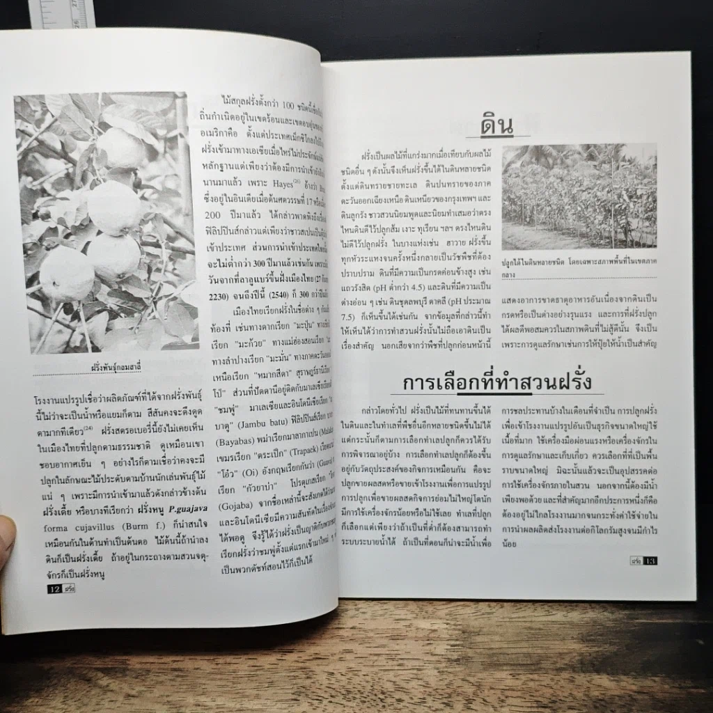 หนังสือ รวมกลยุทธ์ฝรั่ง รูปที่ 7