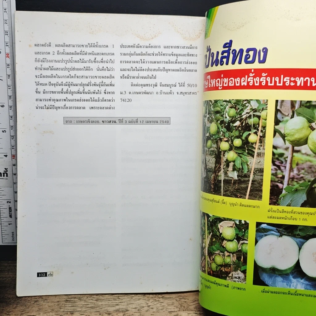 หนังสือ รวมกลยุทธ์ฝรั่ง รูปที่ 8