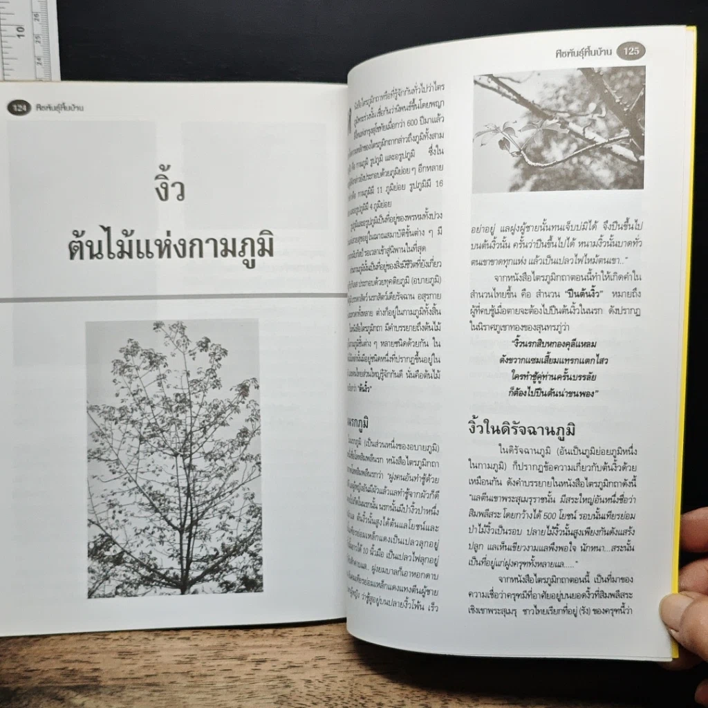 หนังสือ พืชพันธุ์พื้นบ้าน ความสุขชั่วชีวิตที่เราปลูกได้ รูปที่ 8