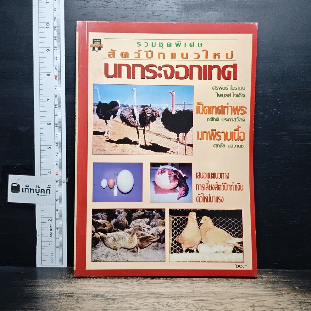 หนังสือ สัตว์ปีกแนวใหม่ : นกกระจอกเทศ รูปที่ 1