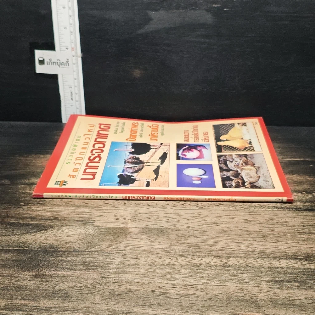 หนังสือ สัตว์ปีกแนวใหม่ : นกกระจอกเทศ รูปที่ 3