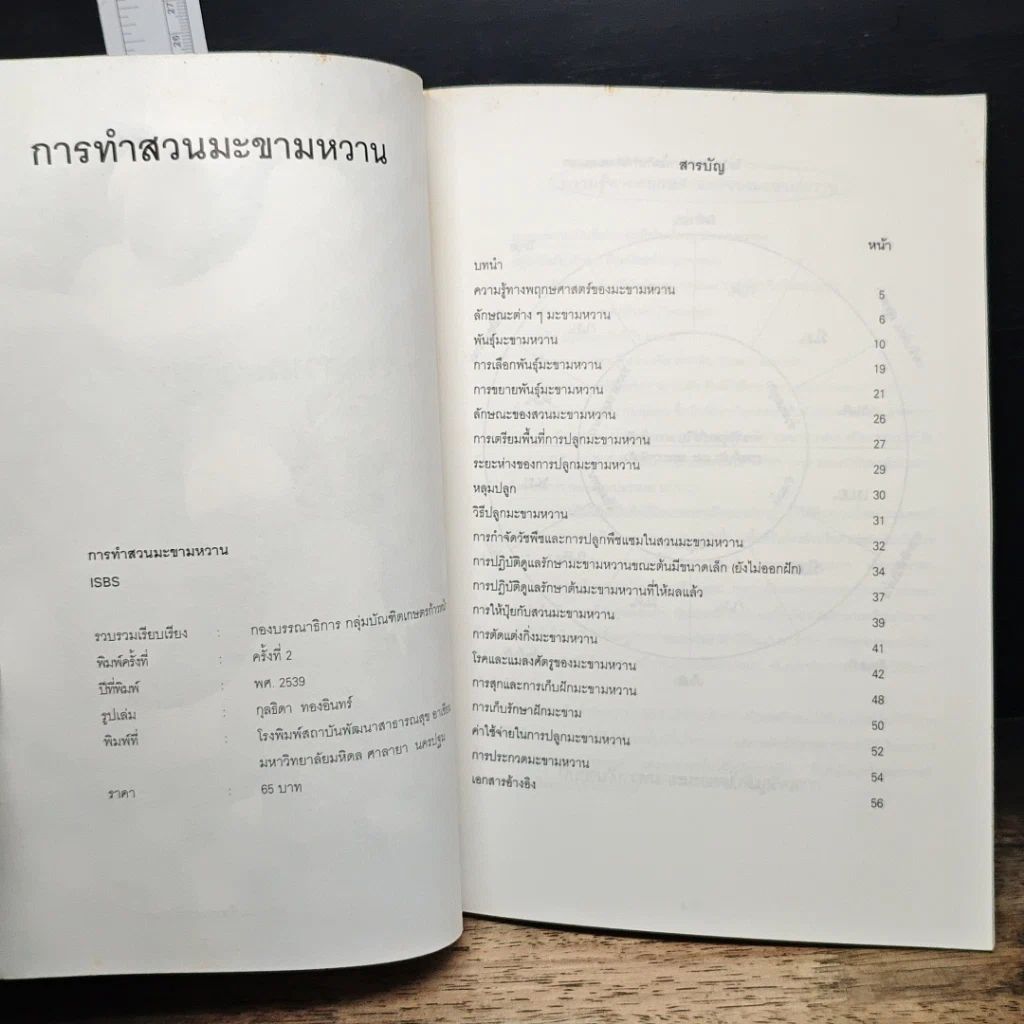 หนังสือ มะขามหวาน รูปที่ 6