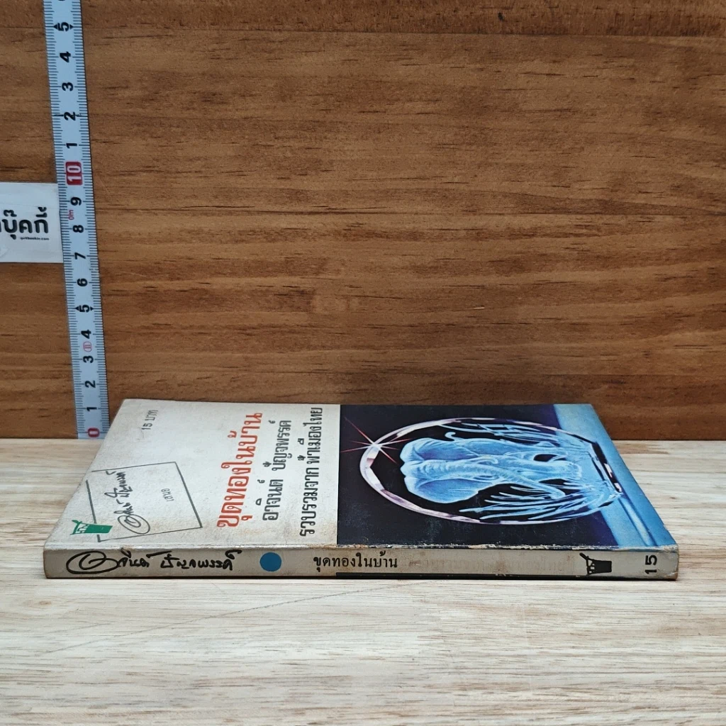 หนังสือ ขุดทองในบ้าน รูปที่ 3