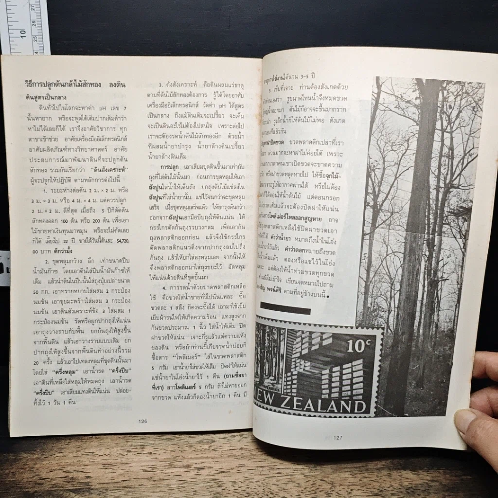 หนังสือ สักทอง รูปที่ 8