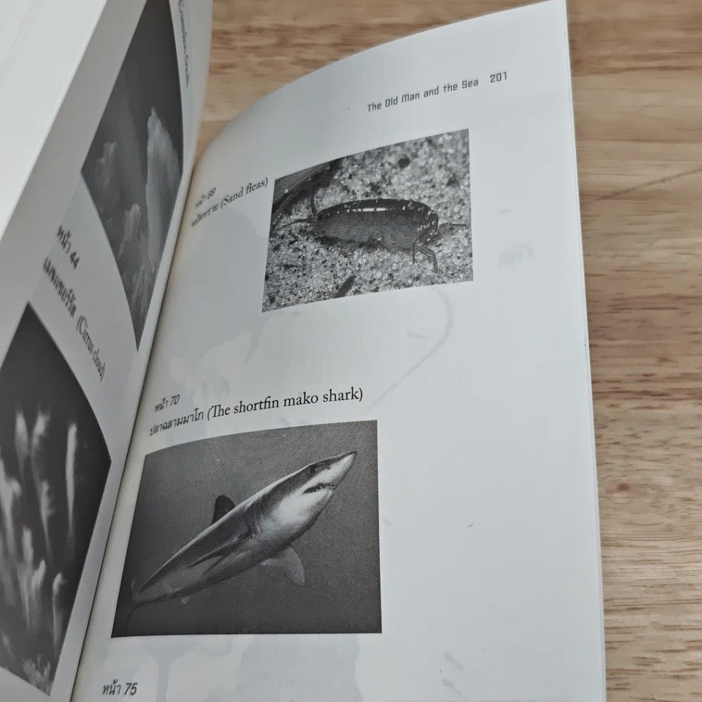 หนังสือ ชายชราและทะเล รูปที่ 8