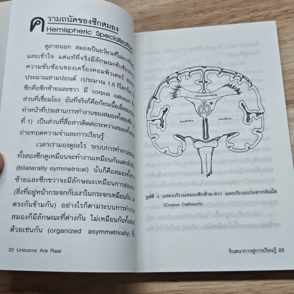จินตนาการสู่การเรียนรู้ รูปที่ 9