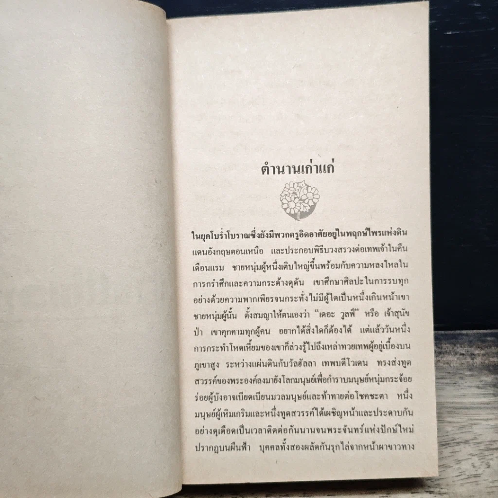 นิยายโรมานซ์ ทาสพิศวาส รูปที่ 7