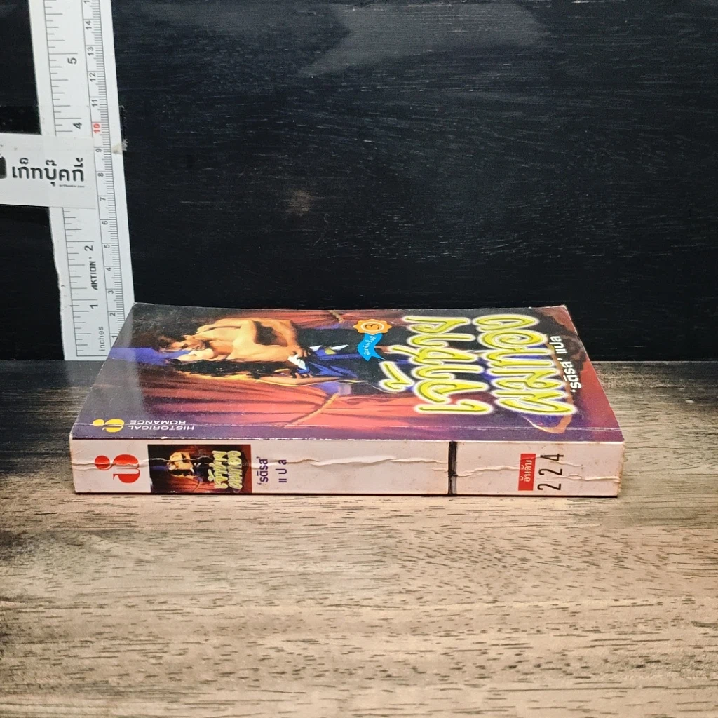 นิยายโรมานซ์ เจ้าชายผมทอง รูปที่ 3