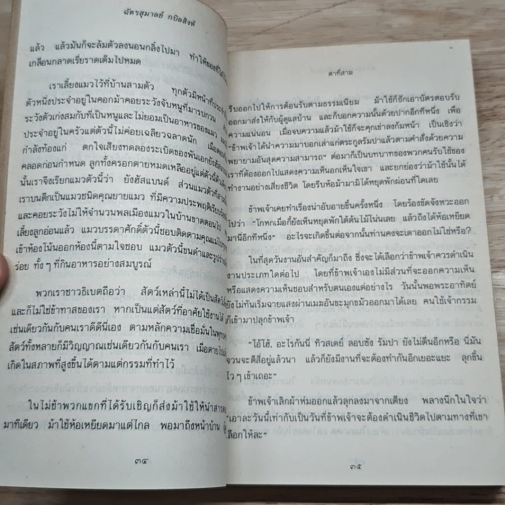 ตาที่สาม รูปที่ 9