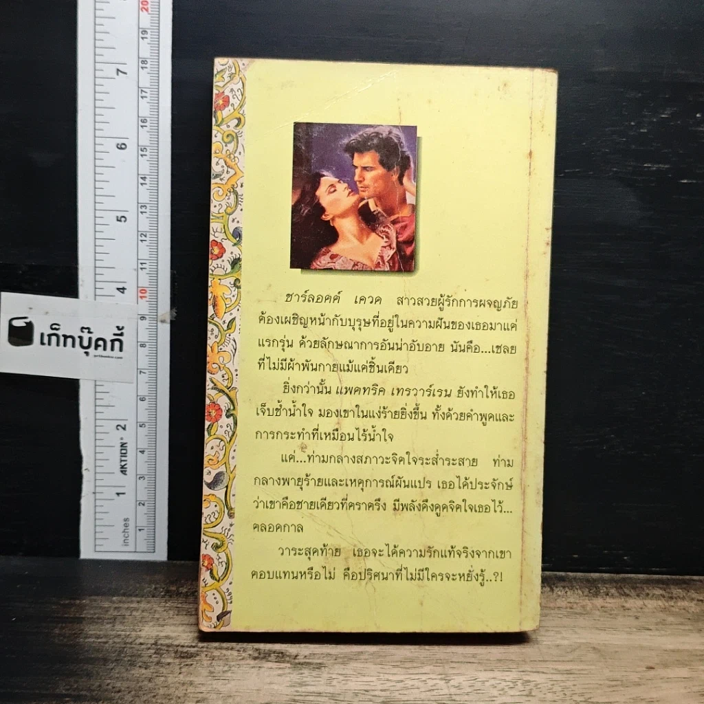 นิยายโรมานซ์ คลื่นสวาท รูปที่ 2