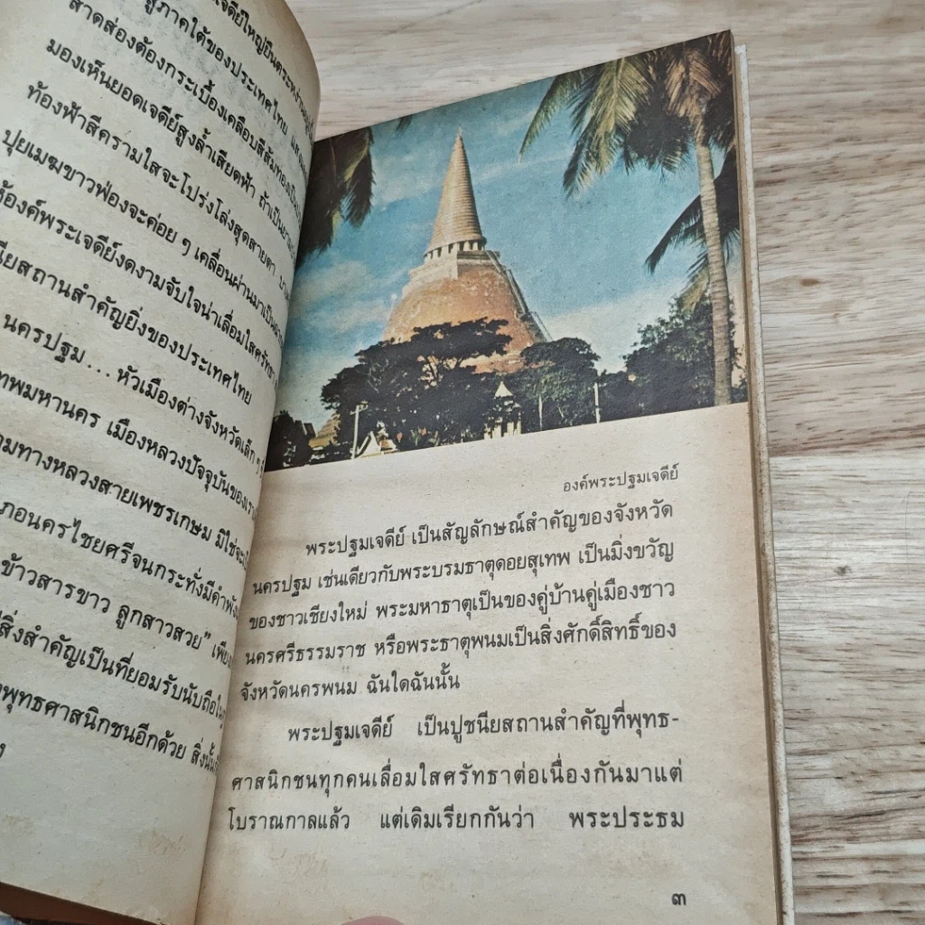พระปฐมเจดีย์ รูปที่ 6