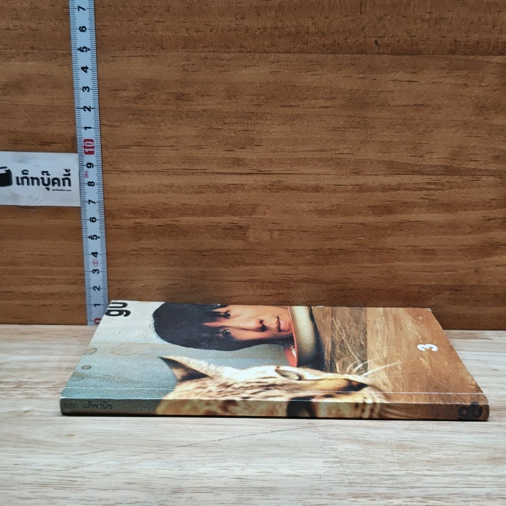หนังสือ Gu เล่ม 3 รูปที่ 3