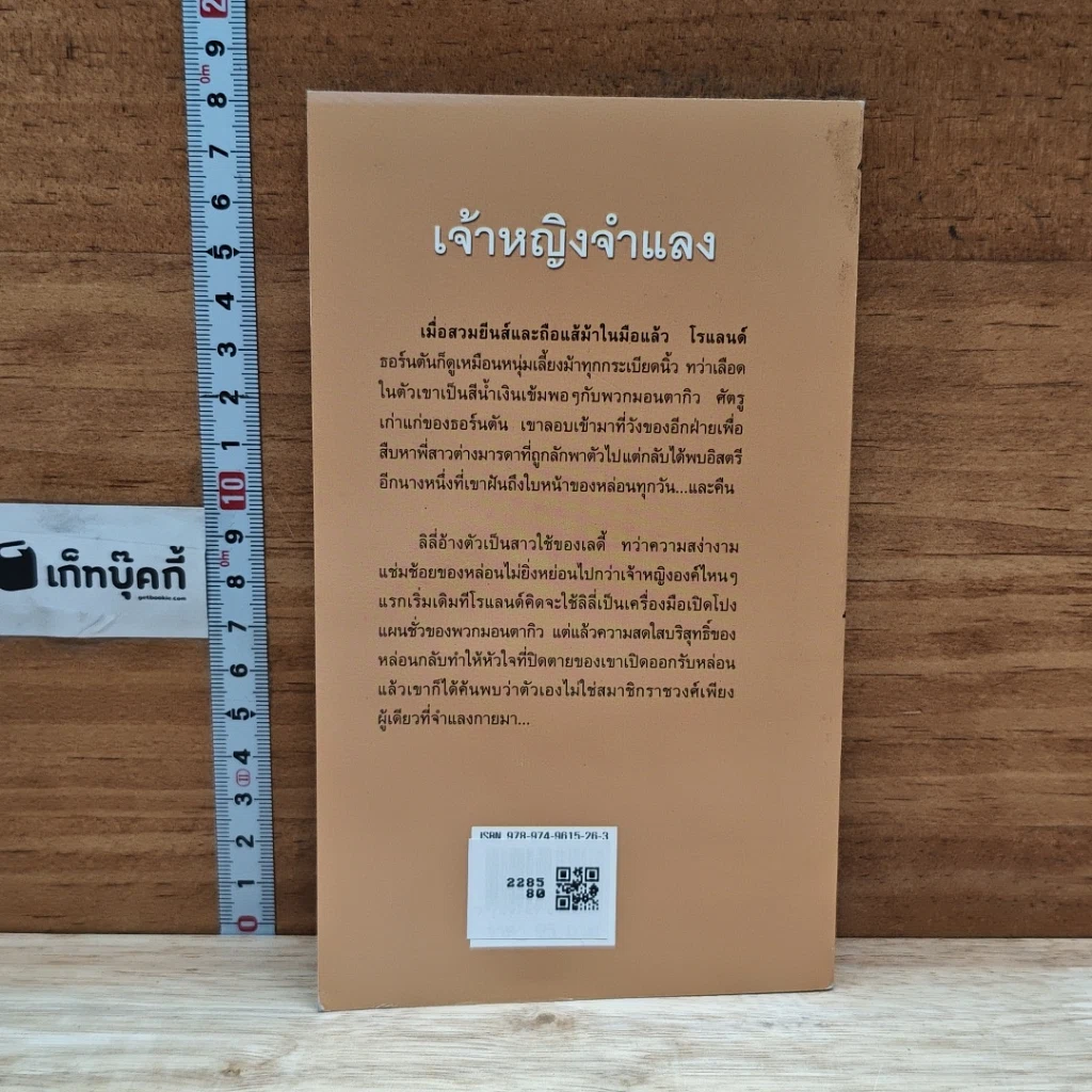 นิยายโรมานซ์ เจ้าหญิงจำแลง รูปที่ 2