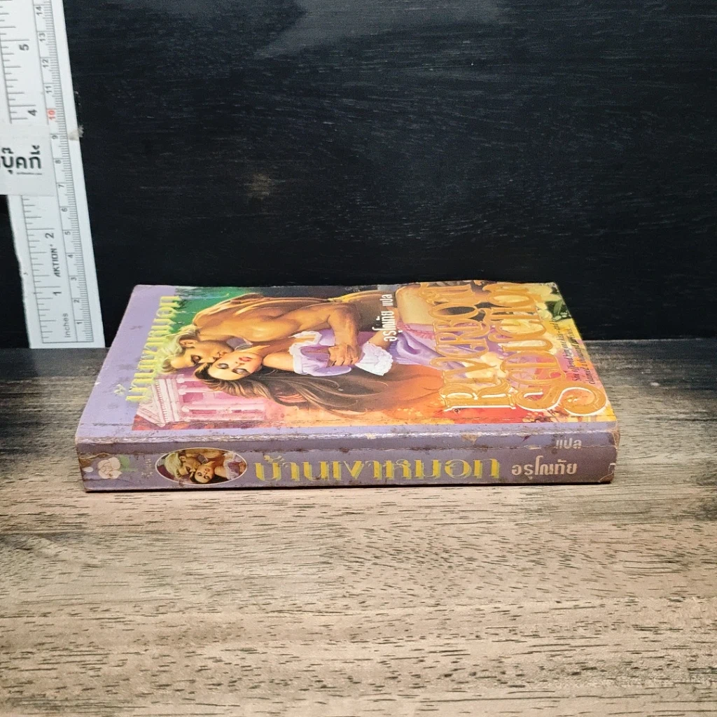 หนังสือ นิยายโรมานซ์ บ้านเงาหมอก รูปที่ 3