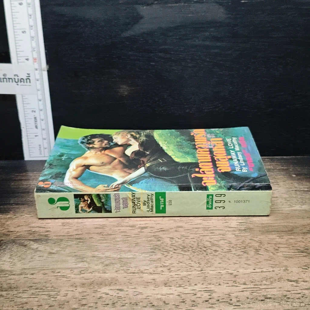 หนังสือ นิยายโรมานซ์ จะไล่ตามความรักไปสุดหล้า รูปที่ 3