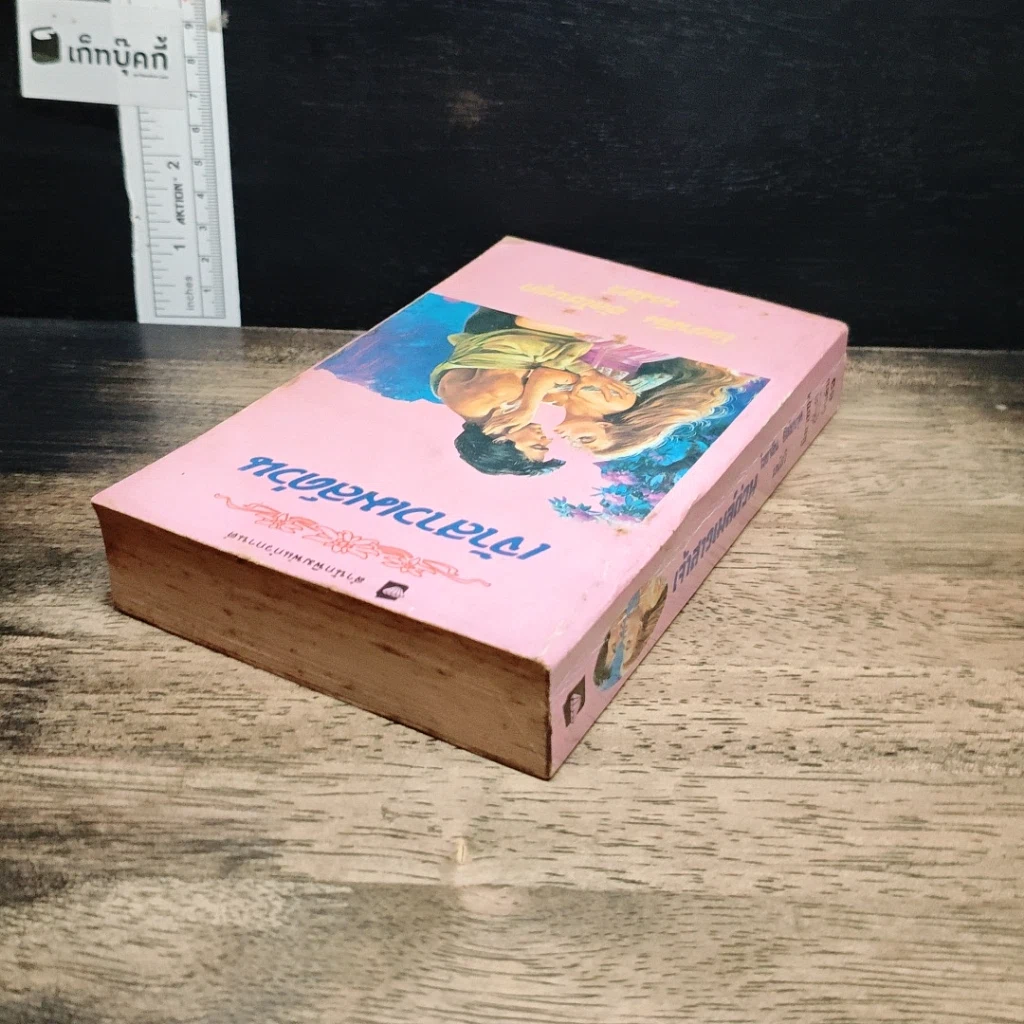 หนังสือ นิยายโรมานซ์ เจ้าสาวเมล์ด่วน รูปที่ 5