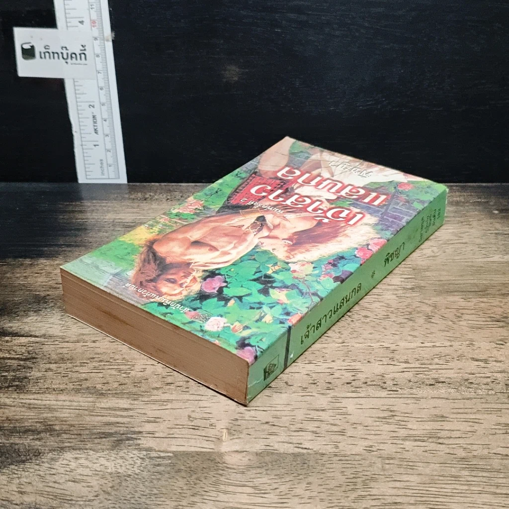 หนังสือ นิยายโรมานซ์ เจ้าสาวแสนกล รูปที่ 5