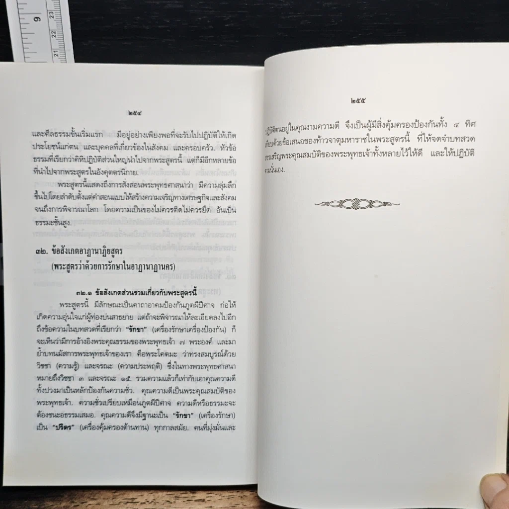 สารัตถะแห่งศาสนธรรม รูปที่ 11