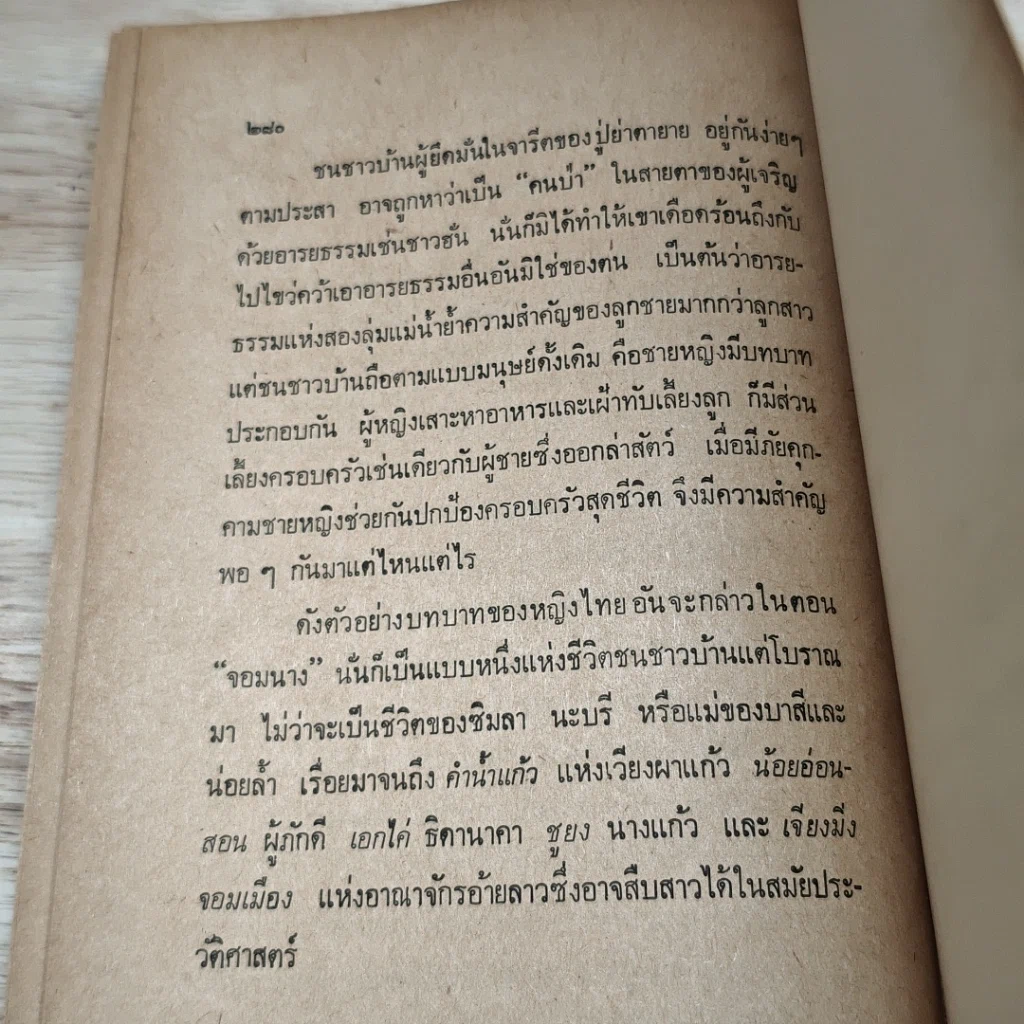 น่านเจ้า รูปที่ 8