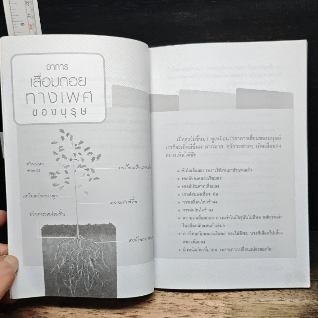 หนังสือ สมุนไพรพลังโด๊ป รูปที่ 9