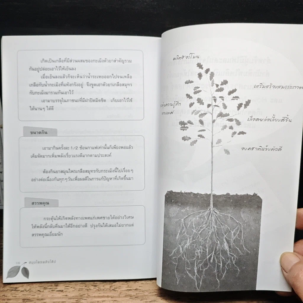 หนังสือ สมุนไพรพลังโด๊ป รูปที่ 10