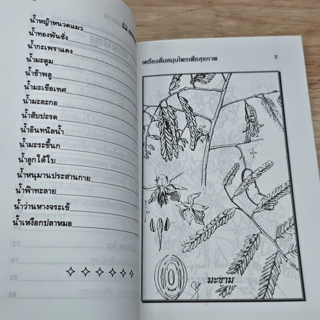 หนังสือ เครื่องดื่มสมุนไพรเพื่อสุขภาพ รูปที่ 7