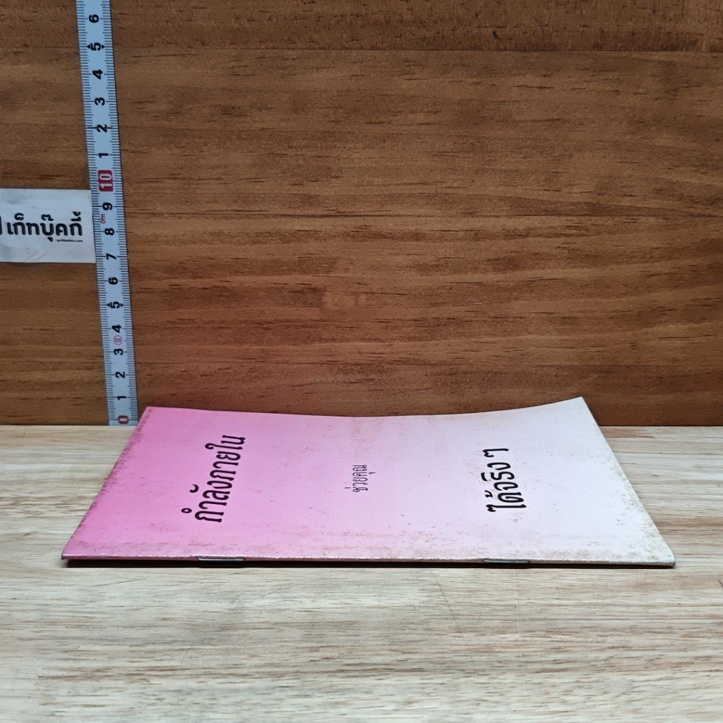 หนังสือ กำลังภายใน ช่วยคุณได้จริง ๆ รูปที่ 3