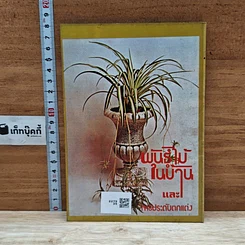หนังสือ พันธุ์ไม้ในบ้านและการประดับตกแต่ง ชุด 3 รูปที่ 2