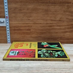 หนังสือ พันธุ์ไม้ในบ้านและการประดับตกแต่ง ชุด 3 รูปที่ 3