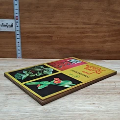 หนังสือ พันธุ์ไม้ในบ้านและการประดับตกแต่ง ชุด 3 รูปที่ 4