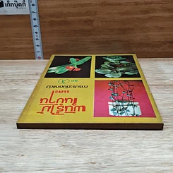 หนังสือ พันธุ์ไม้ในบ้านและการประดับตกแต่ง ชุด 3 รูปที่ 5