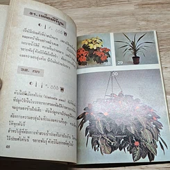 หนังสือ พันธุ์ไม้ในบ้านและการประดับตกแต่ง ชุด 3 รูปที่ 7
