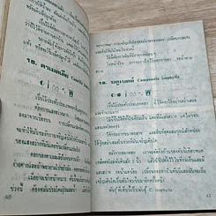 หนังสือ พันธุ์ไม้ในบ้านและการประดับตกแต่ง ชุด 4 รูปที่ 8