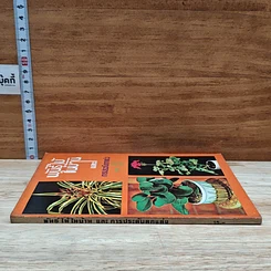 หนังสือ พันธุ์ไม้ในบ้านและการประดับตกแต่ง ชุด 5 รูปที่ 3