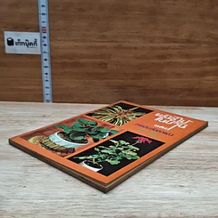 หนังสือ พันธุ์ไม้ในบ้านและการประดับตกแต่ง ชุด 5 รูปที่ 4