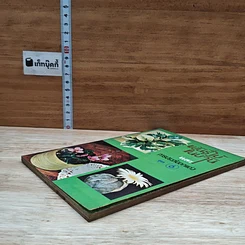 หนังสือ พันธุ์ไม้ในบ้านและการประดับตกแต่ง ชุด 6 รูปที่ 4