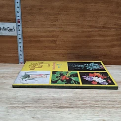 หนังสือ พันธฺุ์ไม้ในบ้านและการประดับตกแต่ง ชุด 7 รูปที่ 3