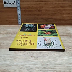 หนังสือ พันธฺุ์ไม้ในบ้านและการประดับตกแต่ง ชุด 7 รูปที่ 5