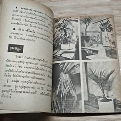 หนังสือ พันธฺุ์ไม้ในบ้านและการประดับตกแต่ง ชุด 7 รูปที่ 7