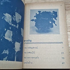 พันธุ์ไม้ในบ้านและการประดับตกแต่ง ชุด 8 รูปที่ 6