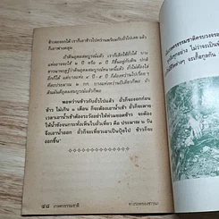 เกษตรธรรมชาติ ทางรอดของชาวนา รูปที่ 7