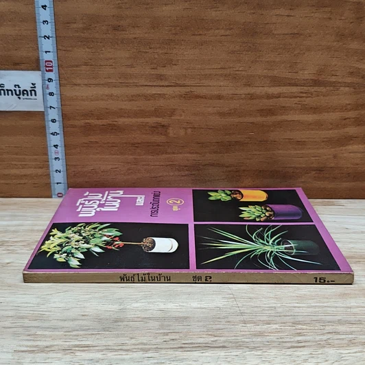 หนังสือ พันธฺุ์ไม้ในบ้านและการประดับตกแต่ง ชุด 2 รูปที่ 3