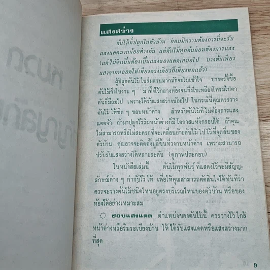 หนังสือ พันธฺุ์ไม้ในบ้านและการประดับตกแต่ง ชุด 2 รูปที่ 7