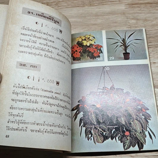 หนังสือ พันธุ์ไม้ในบ้านและการประดับตกแต่ง ชุด 3 รูปที่ 7