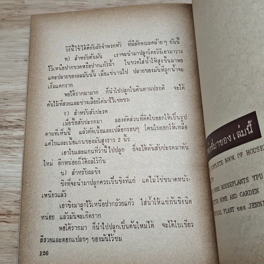 หนังสือ พันธุ์ไม้ในบ้านและการประดับตกแต่ง ชุด 3 รูปที่ 8