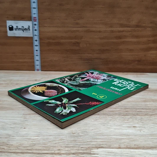 หนังสือ พันธุ์ไม้ในบ้านและการประดับตกแต่ง ชุด 4 รูปที่ 4